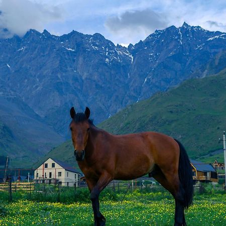 Savalley Kazbegi מראה חיצוני תמונה