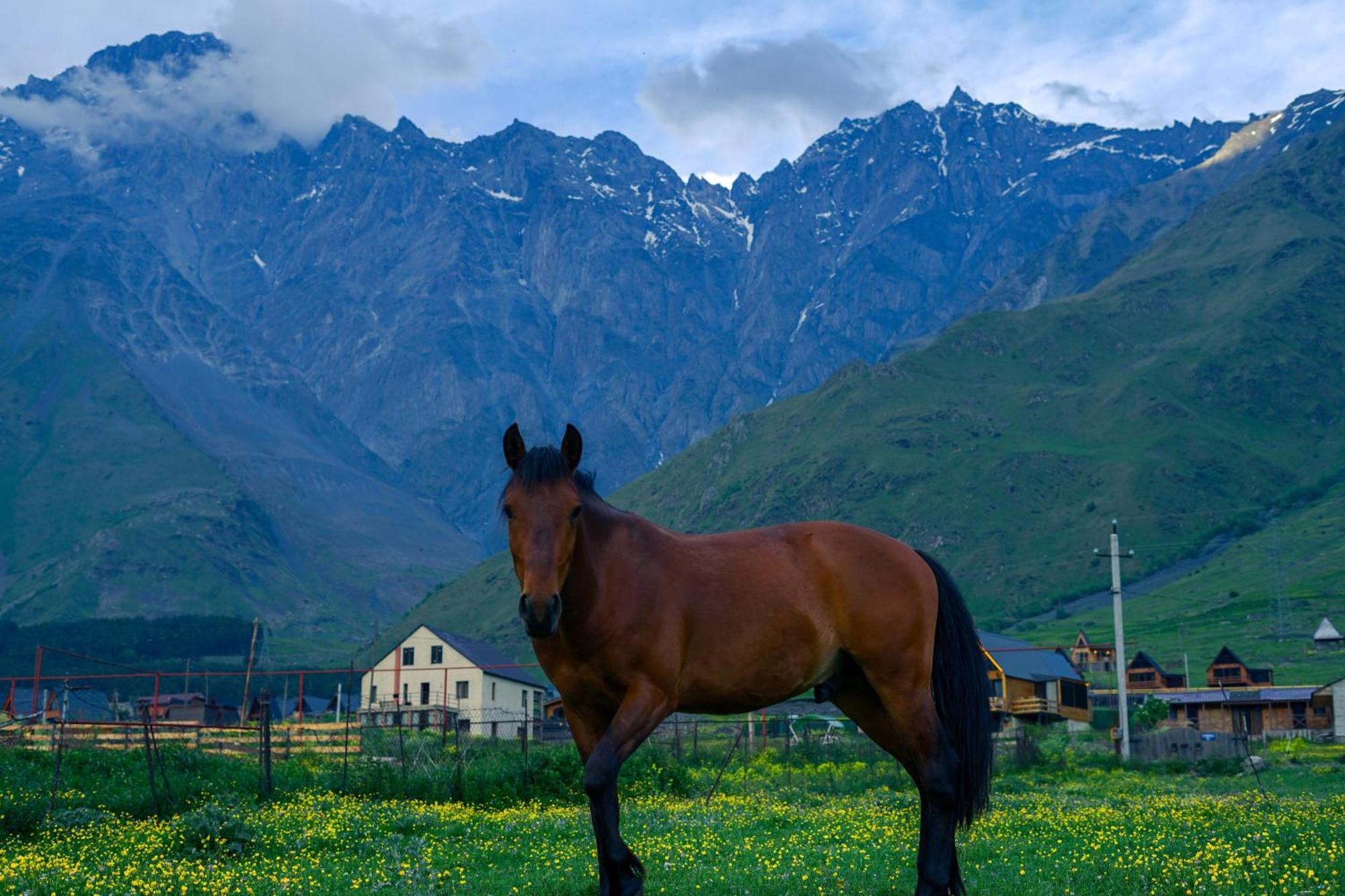 Savalley Kazbegi מראה חיצוני תמונה